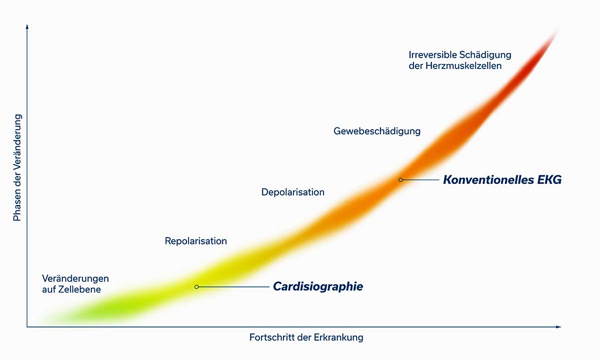 Cardisio infographic